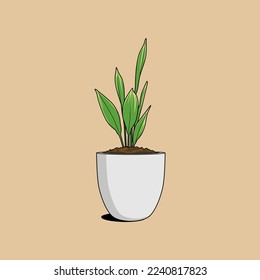 An illustration of a houseplant is beautiful in a modern white pot perfect for a home decoration concept