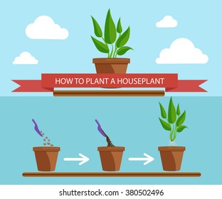 Illustration of houseplants. Cacti set, succulents, home flowers, houseplant in pot. Set of houseplant. How to plant a houseplant