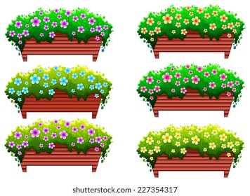 Illustration of the houseplants with flowers on a white background 