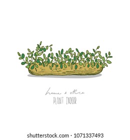 Illustration of houseplants, indoor and office plants in pot isolated on white background. Vector linear sketch house plant pot illustration