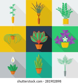 Illustration of houseplants, indoor and office plants in pot. Dracaena, parlor palm, zamioculcas, spathyfyllium, spider plant, sansevieria, oxalis, chinese evergreen, yucca. Flat style vector icon set