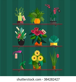 Illustration of houseplants, indoor and office plants in pot. Dracaena, fern, bamboo, spathyfyllium, orchids, Calla lily, aloe vera, gerbera, snakeplant, anthuriums. Flat  vector icon set