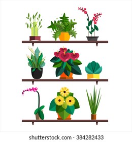 Illustration of houseplants, indoor and office plants in pot. Dracaena, fern, bamboo, spathyfyllium, orchids, Calla lily, aloe vera, gerbera, snakeplant, anthuriums. Flat  vector icon set