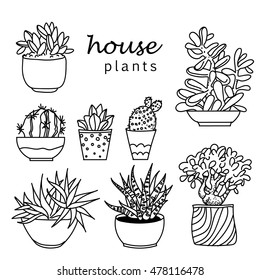Illustration of houseplants, indoor and office plants in pot.Set of house plant isolated. Vector linear house plant pot illustration. 
