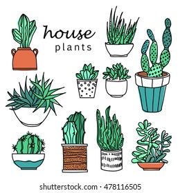 Illustration of houseplants, indoor and office plants in pot.Set of house plant isolated. Vector colorful house plant pot illustration. 