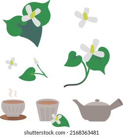 Illustration of Houttuynia cordata set material