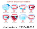 Illustration of how to brush your teeth. Step-by-step dental care instructions. Vector illustration