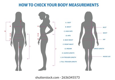 illustration of How to Check Your Body Measurements Guide or How to Check Your Body Measurements for Clothing Fit isolated.