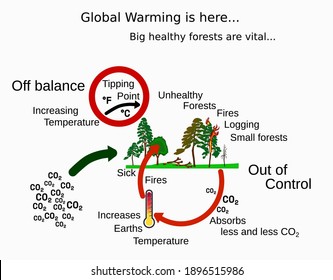 Illustration of how increased global warming leads to unhealthy forests where fires and logging means less CO2 Carbon Dioxide is adsorbed thus pushing global warming into an unstoppable feedback loop