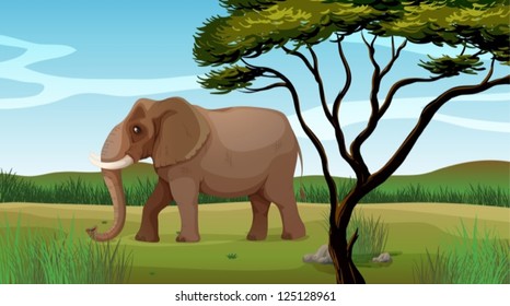 Illustration of a huge elephant