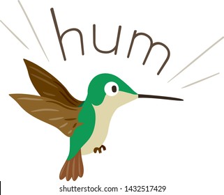 Illustration of Hum Sound and a Hummingbird. Learning Onomatopoeia