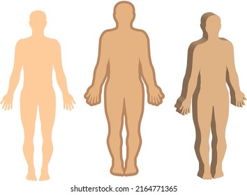 illustration of human body icon. on white background