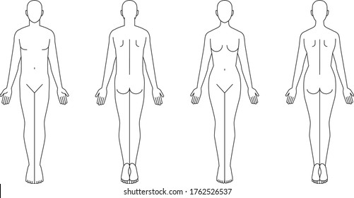 Illustration Of The Human Body. Male Female Sketch