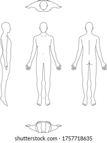 Illustration Of The Human Body. Male Sketch