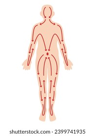 Illustration of human body meridians