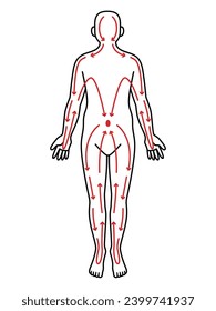 Illustration of human body meridians