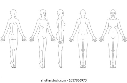 Illustration Of The Human Body. Schematic Of A Woman.