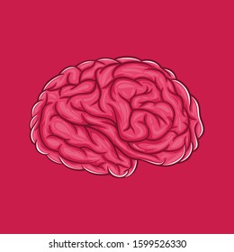 Illustration of the Human Brain.