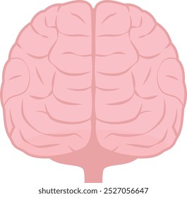 Illustration of the human brain