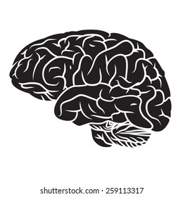 Illustration of human brain.