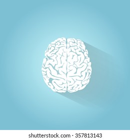 An illustration of the human brain