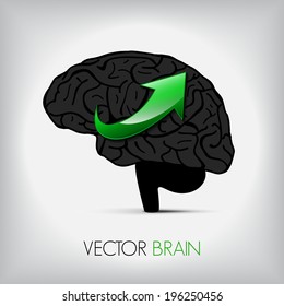 illustration of human brain with green refresh sign, Vector graphic