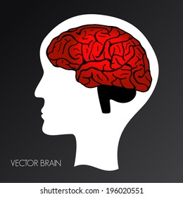 illustration of human brain inside the head, Vector graphic