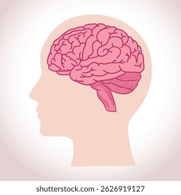 Illustration of the human brain inside a head profile, showing brain structure in a side view.
