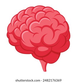 illustration of Human brain on white