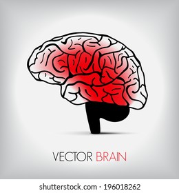 illustration of human brain, Vector graphic