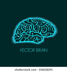 illustration of human brain, Vector graphic