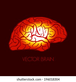 illustration of human brain, Vector graphic