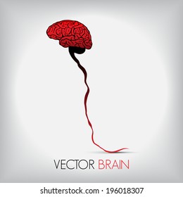 illustration of human brain, Vector graphic