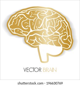 illustration of human brain, Vector graphic