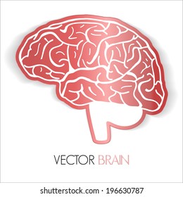 illustration of human brain, Vector graphic