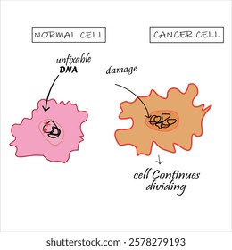 Illustration of Human cancer cells normal and damage stage