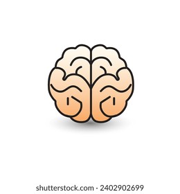 Illustration of human cerebral cortex on white background. 