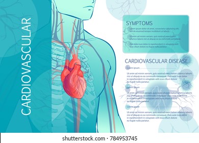 Illustration of the human circulatory vascular system template. anatomical heart. man body parts. Hand drown vector sketch illustration isolated
