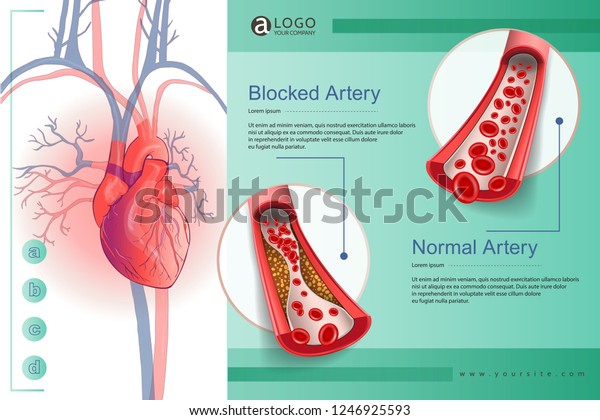Illustration of the human circulatory vascular\
system template. anatomical heart. man body parts. Hand drown\
vector sketch illustration\
isolated