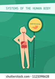 Illustration of a human digestive system