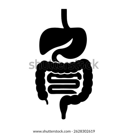 Illustration of human digestive system anatomy for medical education and healthcare awareness design vector