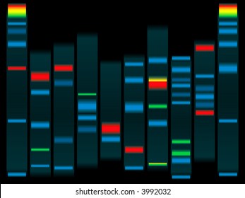 Illustration of a human dna in black with highlighted dna strands ideal for schools info