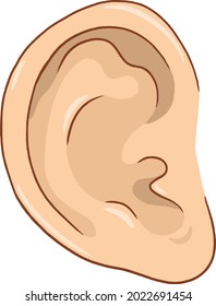 illustration of the human ear. Head vector illustration. Perfect for art, postcards, cards, wall decor, t-shirts, cards, prints, drawing books, coloring books, wallpaper, prints, cards, ect.