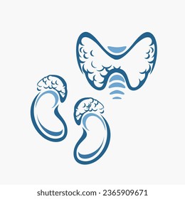 illustration of the human endocrinological system, Nephron