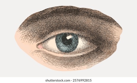 Illustration of a human eye with a detailed iris and textured shading. Artistic eye drawing with focus on eye detail and texture. Eye art with intricate design. Vintage art, isolated vector element.