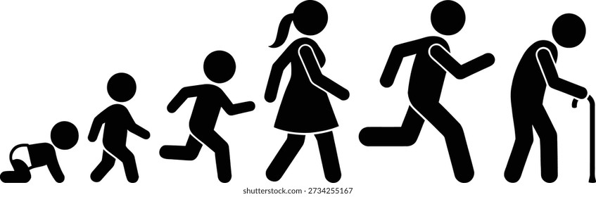 Illustration of human growth and development from infancy to adulthood