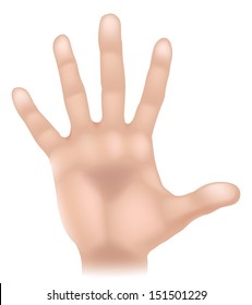 An illustration of a human hand body part, could represent touch in the five senses