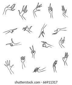 Illustration of human hand in different gestures