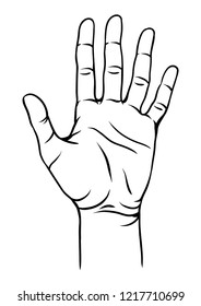 Illustration of human hand. Female palm gesture.