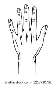 Illustration Human Hand Female Palm Gesture Stock Vector (Royalty Free ...